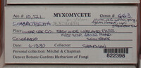 Image Associated With the Occurence